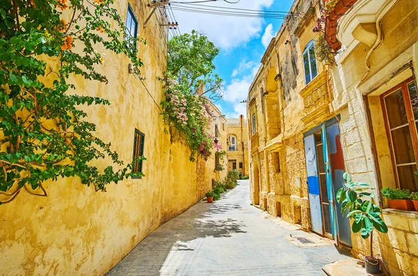 Plant decoren in middeleeuwse stenen stad, Rabat, Malta — Stockfoto