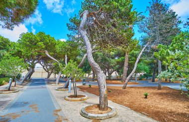 Çam Bahçe Mdina, Malta