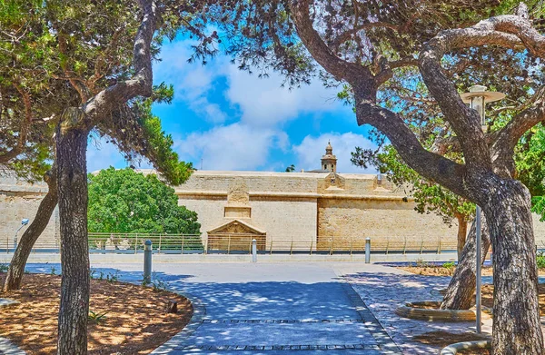 L'allée du jardin de Mdina, Malte — Photo