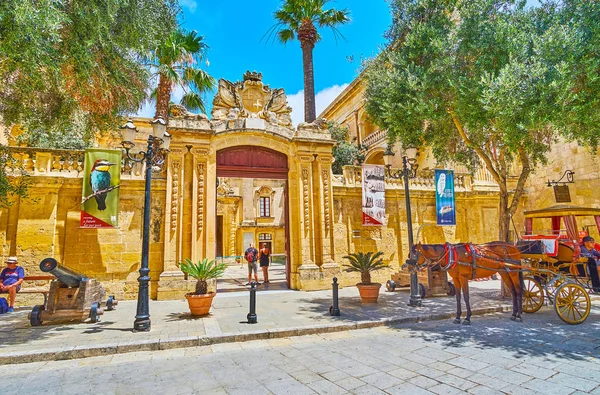 Carrozza trainata da cavalli nel centro storico, Mdina, Malta — Foto Stock