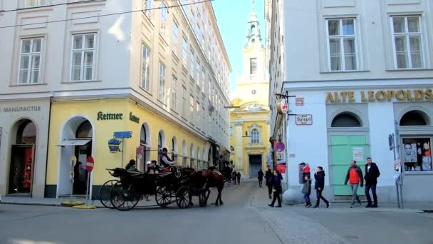 Wien Österrike Februari 2019 Promenad Längs Spiegelgasse Street Med Utsikt — Stockvideo