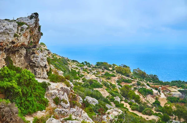 The nature of Dingli Cliffs, Malta — Stock Photo, Image