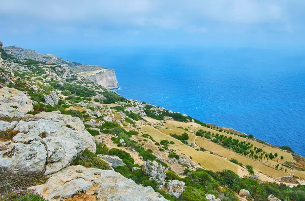 Zemědělské pozemky na útesy Dingli, Malta — Stock fotografie