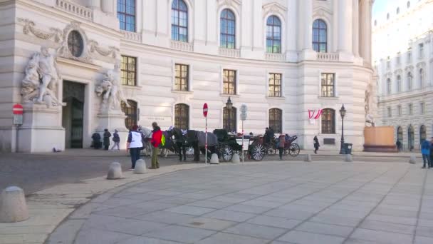 Wien Oesterreich Februar 2019 Die Alten Pferdekutschen Warten Auf Die — Stockvideo