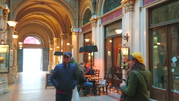 Vienna Áustria Fevereiro 2019 Esplêndido Interior Passagem Freyung Palácio Ferstel — Vídeo de Stock