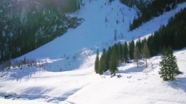 Gosausee Gölü, buzla kaplı ve Dachstein Alps karlı yamaçları yemyeşil iğne yapraklı ağaçlar ve kayalık tepeler, Gosau, Salzkammergut, Avusturya ile çevrili kış Panoraması.