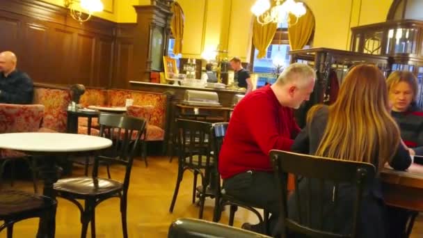 Vienna Áustria Fevereiro 2019 Café Sperl Melhor Escolha Para Passar — Vídeo de Stock