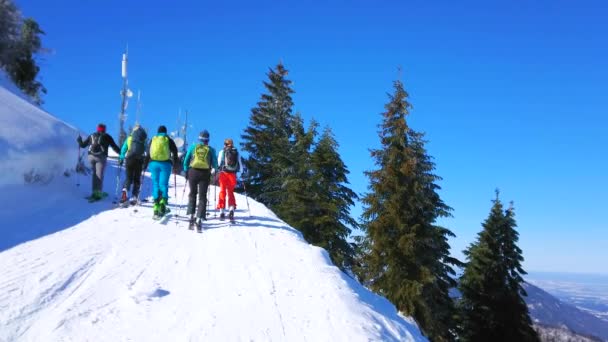 オーストリア セントギルゲン 2019年2月23日 高い松の木が並ぶ急なトレイルに沿ってズウォルファーホルン山の頂上に上り坂を行くスキーヤーのグループは 2月23日にセントギルゲンで — ストック動画