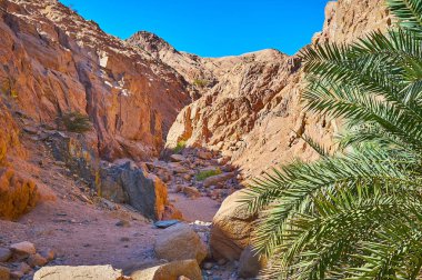 Sina Çölü, Mısır kanyonda