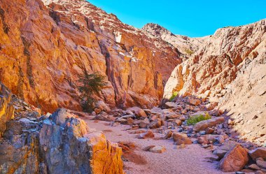 Sina Çölü, Mısır zam