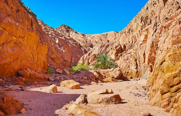 Safari a Sinaí, Egipto — Foto de Stock