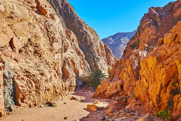 Küçük kanyonda, Sinai, Mısır yürümek