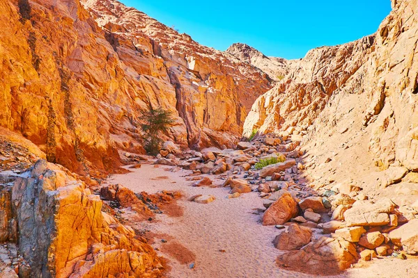 Caminar por el cañón rojo, Sinaí, Egipto — Foto de Stock