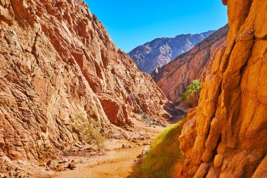 Sinai Kanyonu kırmızı kayalar arasında, Mısır