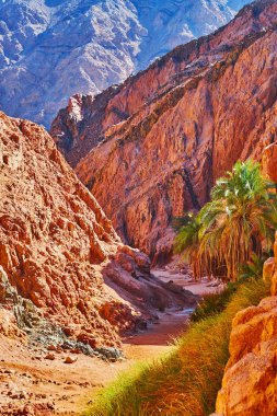 Sinai, Mısır kayalık çöl ziyaret
