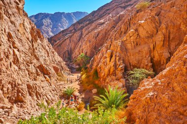 Küçük renkli Kanyon, Sinai, Mısır