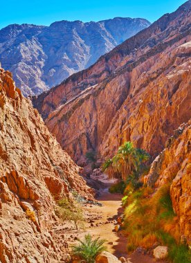 Küçük renkli Kanyon yamacının manzarası, Sinai, Mısır