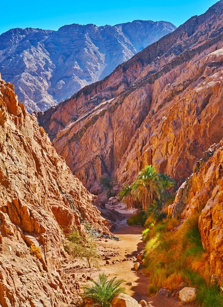 Pohled ze svahu malého barevného kaňonu, Sinaje, Egypta — Stock fotografie