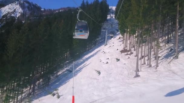 ゴーザウオーストリア 月26 2019 ゴーザウで2月26日に パノラマジェット Zwieselalm ケーブルカーのキャビンから雪と松林で覆われた冬のアルプスの斜面をお楽しみください — ストック動画