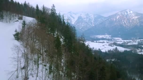 缆车沿雪中的 K下林山的山坡前进 古老的针叶林和巴特伊斯克尔在奥地利萨尔茨卡默古特山谷 — 图库视频影像