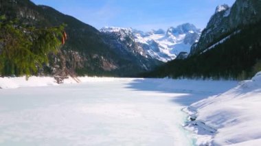 Dağlık Gosausee Gölü önünde koniler ile köknar ağacı şube, buz ve kar ile kaplıdır, Dachstein West Alpleri ile çevrili, Gosau, Salzkammergut, Avusturya. 