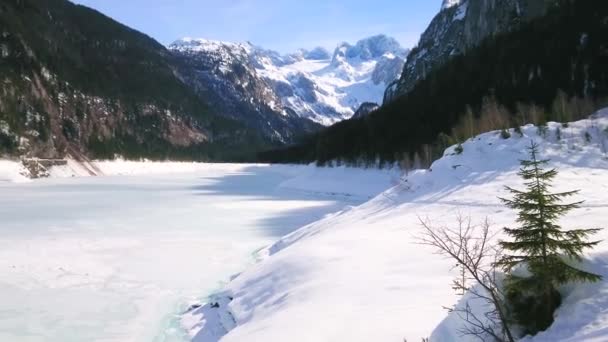 奥地利萨尔茨卡默古特 冰冻的戈索西湖的全景 周围有蓬松的雪岸和达希斯坦西部的阿尔卑斯山 — 图库视频影像