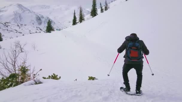 Snowshoer はスキーヤーのふりをして 雪の降るフォイアーコーゲル山の高原 Ebensee ザルツカンマーグート オーストリアのトレイルでベーススキーヤーの動きをコピーするジョークを言っています — ストック動画