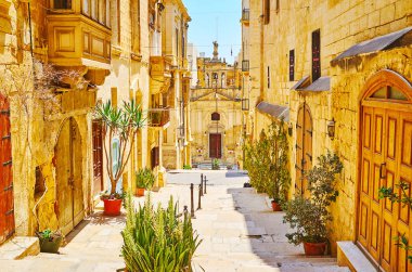 St Lucia caddesinde yeşil bitkiler, Valletta, Malta 