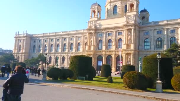 Viena Austria Febrero 2019 Hermoso Jardín Ornamental Maria Theresien Platz — Vídeo de stock