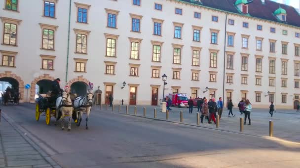 Wien Österrike Februari 2019 Njut Den Trevliga Rida Hästdragna Vagn — Stockvideo