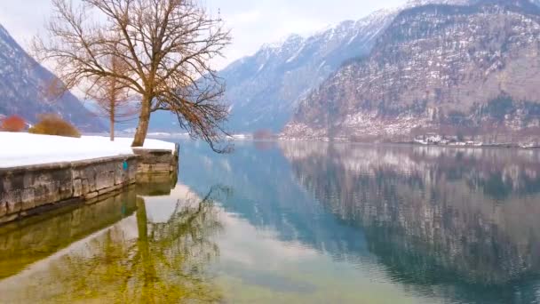 Lush Tree Bank Badeinsel Recreational Park Reflected Mirror Surface Hallstattersee — Stock Video