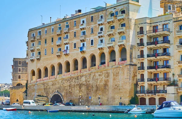 Živé dikry Senglea, Malta — Stock fotografie