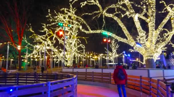 Viena Austria Febrero 2019 Alegre Pista Patinaje Sobre Hielo Invierno — Vídeo de stock