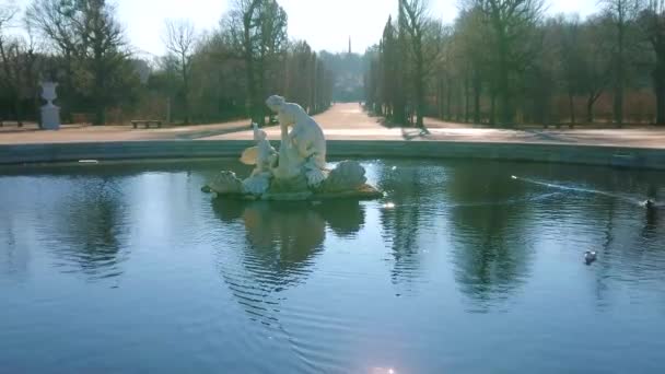 奥地利维也纳 2019年2月19日 位于梅德林格林登瓦尔德琴 梅德林格林登格罗夫斯 尚布伦宫花园的壮观的奈德喷泉 2月19日在维也纳 — 图库视频影像