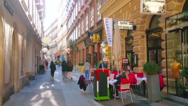 Vienne Autriche Février 2019 Rue Étroite Vieille Ville Avec Café — Video