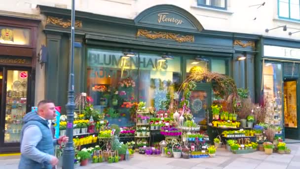 Vienne Autriche Février 2019 Magasin Fleurs Avec Vitrine Vintage Grande — Video