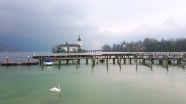 Yalnız kuğu Traunsee gölü üzerinde Gmunden limanının boş tersanelerinde yüzer, ortaçağ Schloss Ort arka planda görülür, Salzkammergut, Avusturya