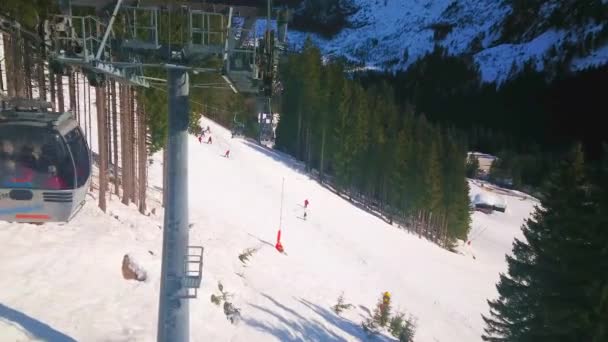 奥地利戈绍 2019年2月26日 2月26日在戈绍 沿着高大的冷杉森林和雪坡 乘坐全景捷德兹维塞勒姆缆车的愉快旅程 — 图库视频影像