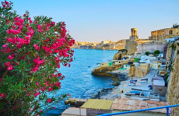 Valletta stadtbild mit blühendem busch, malta — Stockfoto