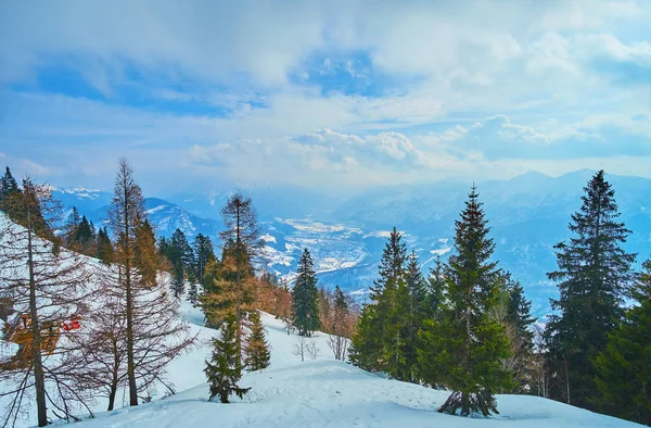 走在冬季森林，巴德伊斯克尔，萨尔茨卡默古特，奥地利 — 图库照片