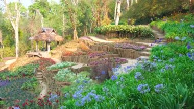Nang Non dağ yamacı çiçek yatakları, rhododendrons ve Mae Fah Luang Arboretum, Doi Chang Moob, Chiang Rai, Tayland nadir bitki türleri ile kaplıdır 