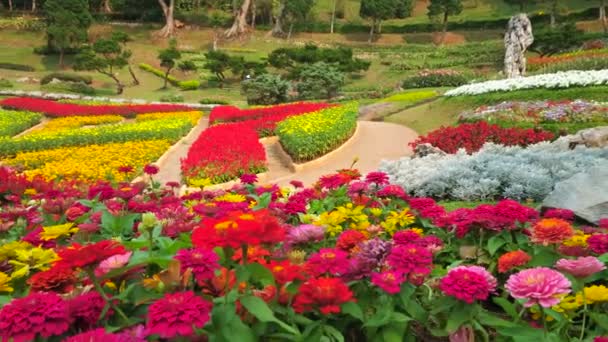 Panorama Grădinii Mae Fah Luang Paturi Pitorești Flori Colorate Create — Videoclip de stoc