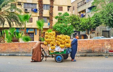 Banana cart, Kahire, Mısır