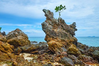 Khai Nok adasının kayalık kıyısı, Phuket, Tayland