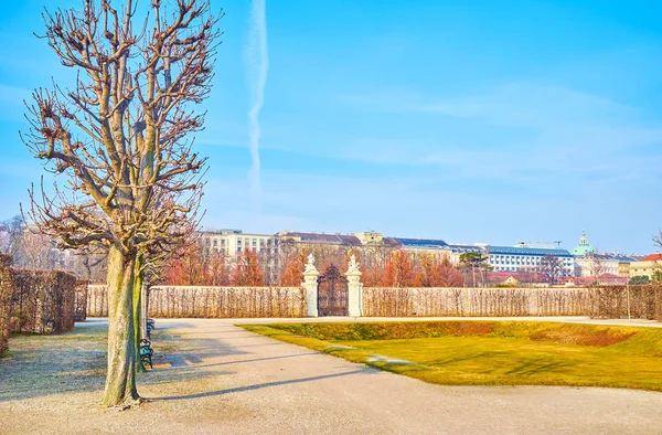 Park Zimowy w Wiedniu, Austria — Zdjęcie stockowe