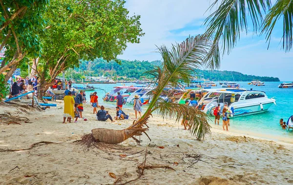 Tonsai Bay behind the palm, Phi Phi Don Island, Krabi, Thailand — Stock Photo, Image