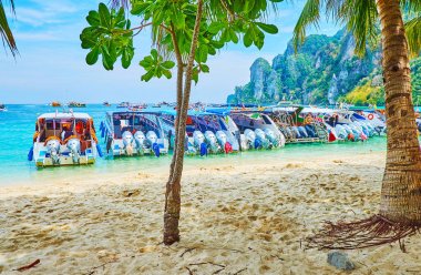 Ağaçların gölgesinde, Phi Phi Don Adası, Krabi, Tayland