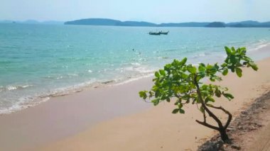Ön planda altın kumlu kıyı şeridi ve küçük yeşil ağaç ile Ao Nang plaj boyunca nazik gelgit izleyin, Krabi, Tayland