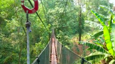Mae Fah Luang bahçe, Doi Tung, Chiang Rai, Tayland Tree Top Walk macera parkı derin orman boyunca sallayarak dar halat asma köprü yürüyün 