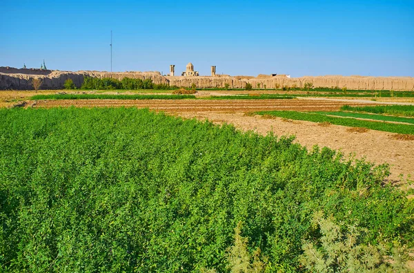 Die Felder innerhalb der Festung, kashan, iran — Stockfoto